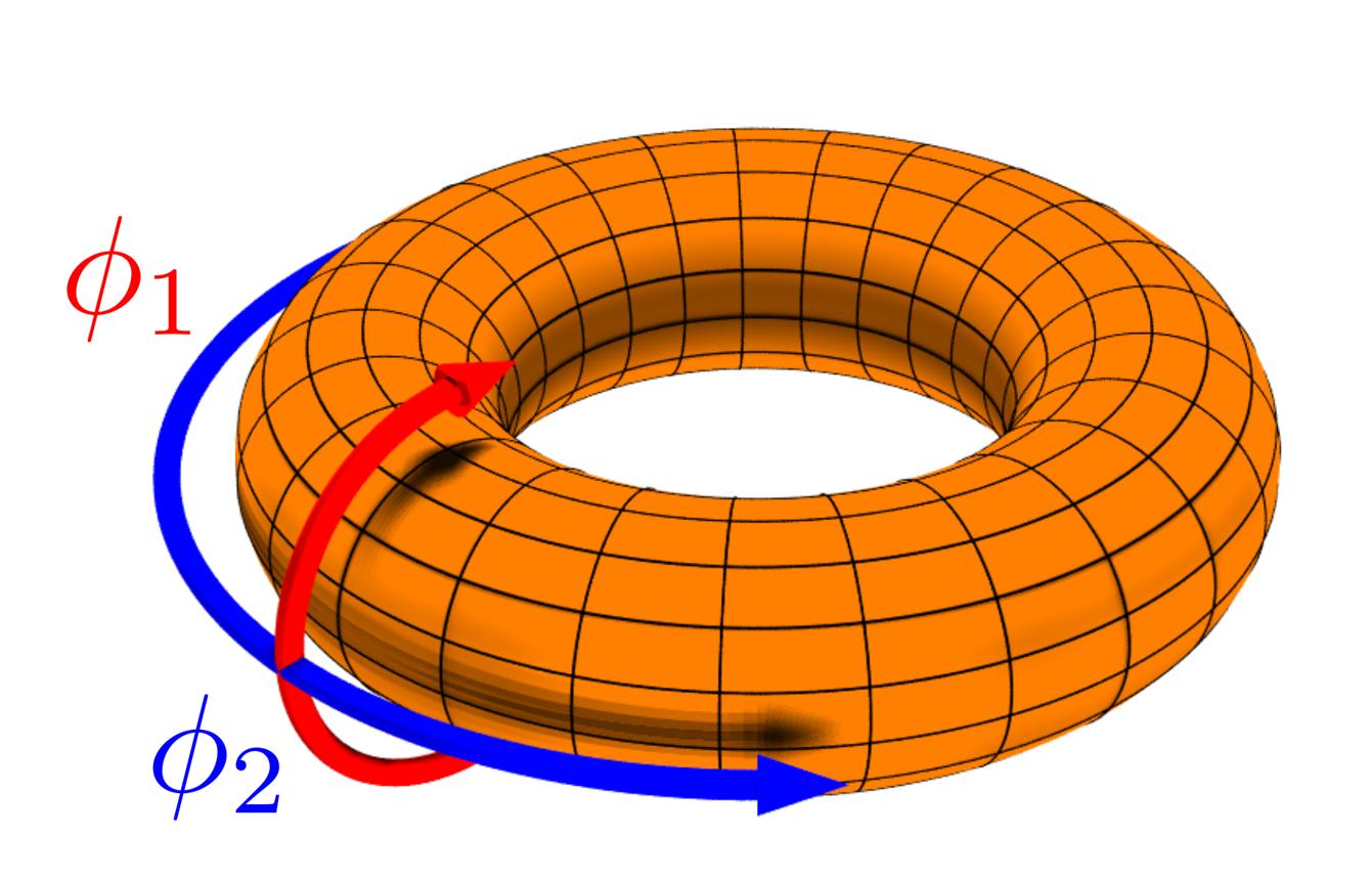 classical mechanics - Why do Action-Angle Variables form an invariant Torus? - Physics Stack Exchange